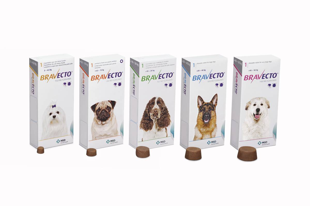 Bravecto Chewable Tablets - MSD Animal Health Middle East