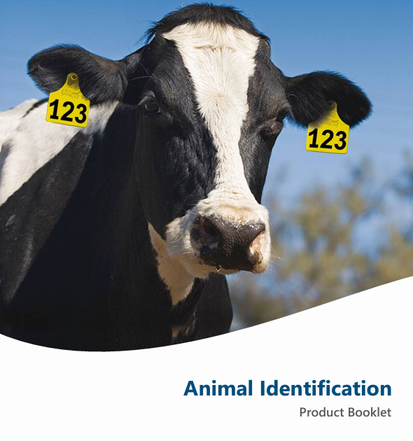 Ruminant Brochures - MSD Animal Health Middle East